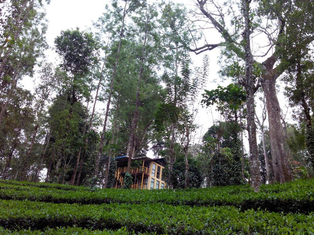 Jungle Jive Tree House Munnar Bed & Breakfast Exterior photo