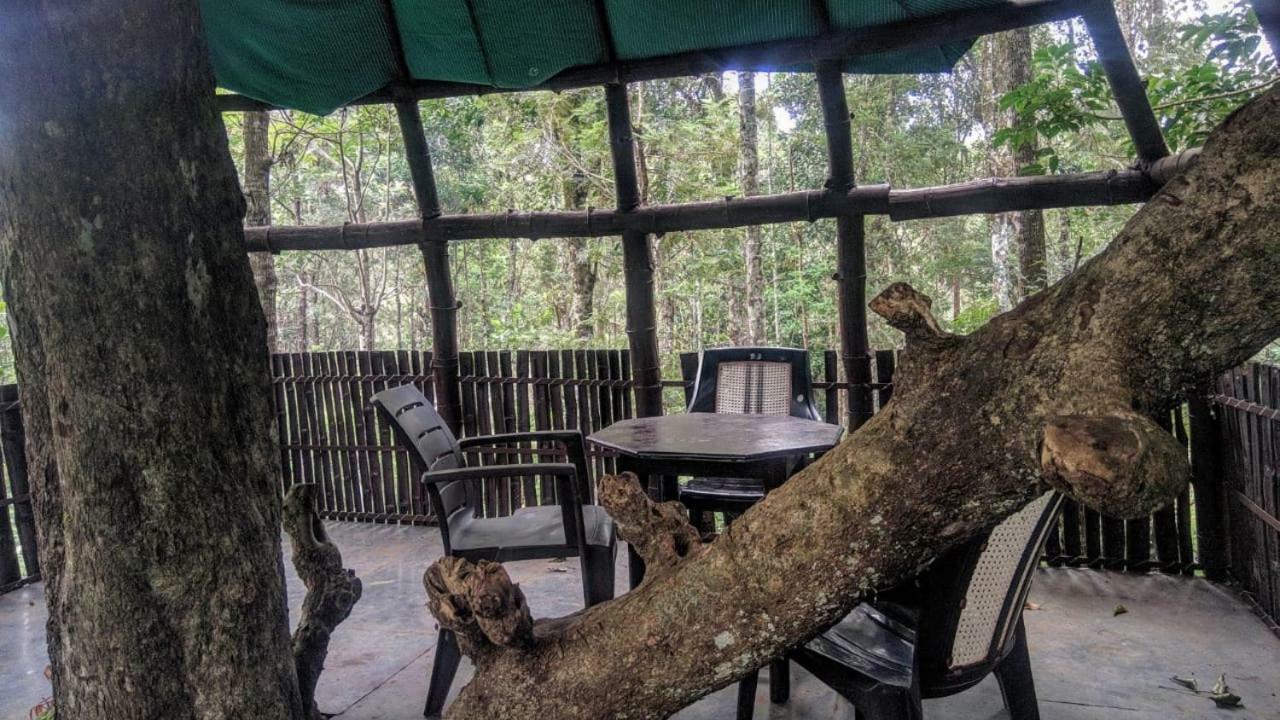 Jungle Jive Tree House Munnar Bed & Breakfast Exterior photo