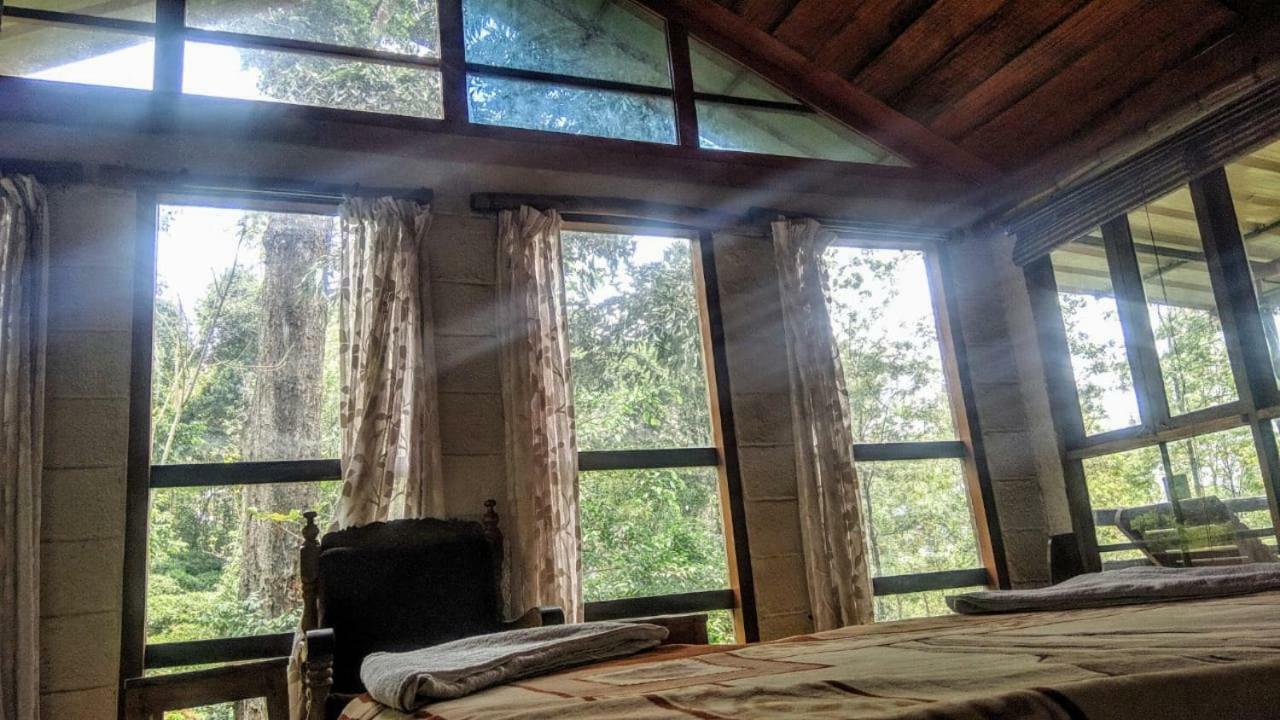 Jungle Jive Tree House Munnar Bed & Breakfast Exterior photo